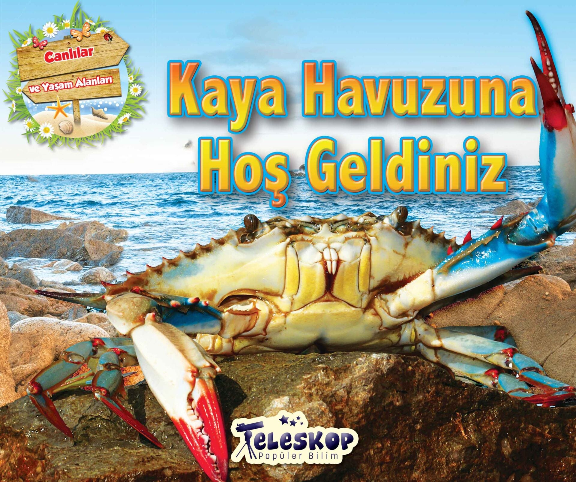 Teleskop Popüler Bilim Kaya Havuzuna Hoş Geldiniz