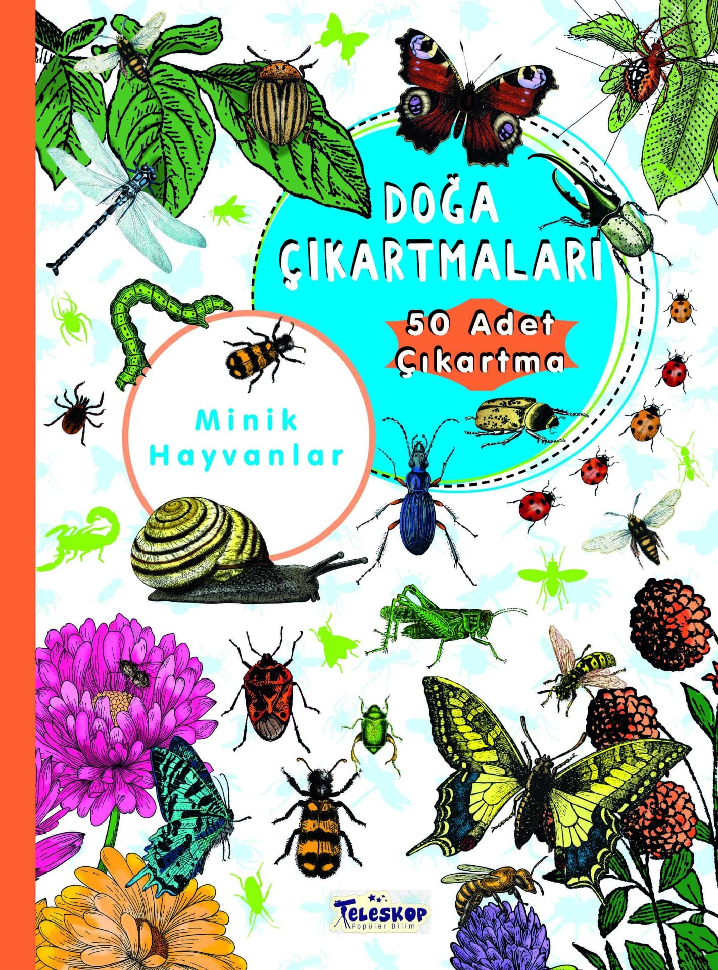 Teleskop Benim Doğa Çıkartmalarım  Minik Hayvanlar