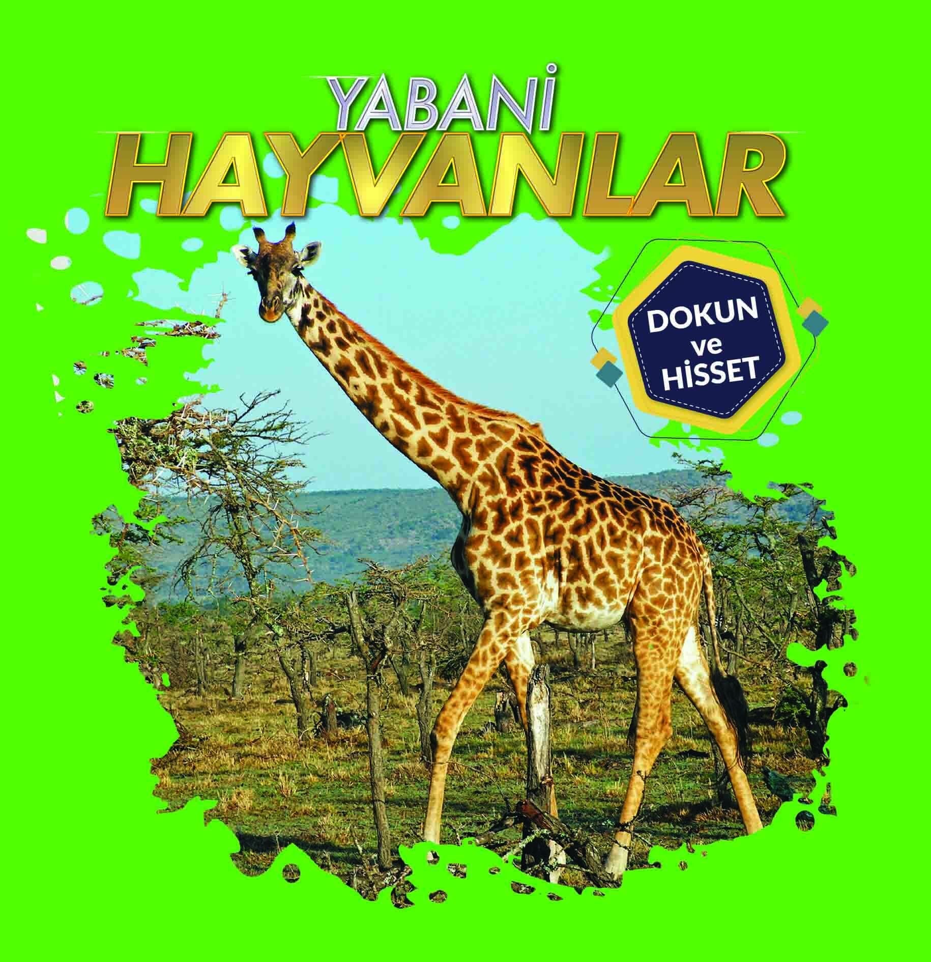 0-6 Yaş Yayınları Yabani Hayvanlar Dokun Ve Hisset
