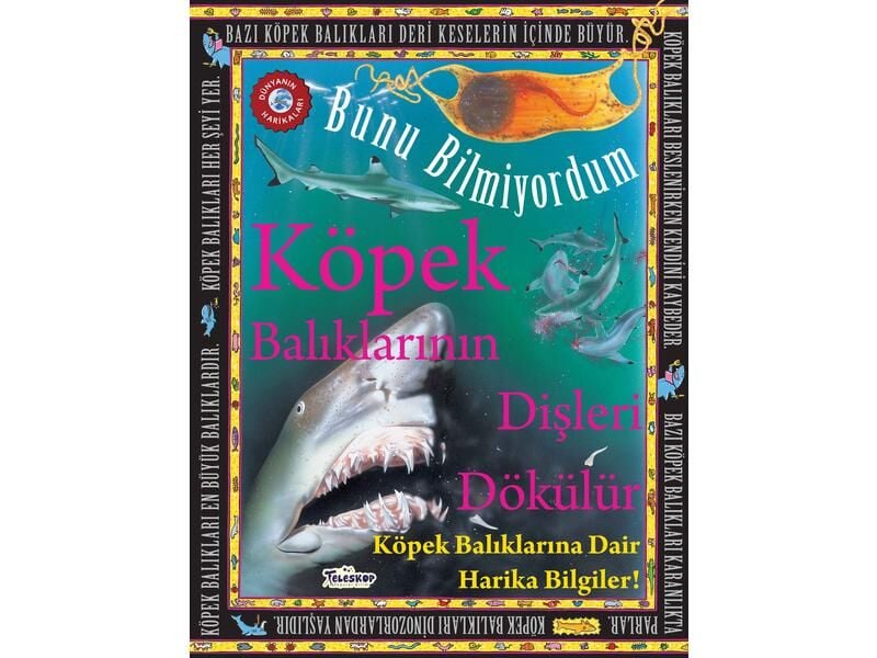 Teleskop Bunu Bilmiyordum Köpek Balıklarının Dişleri Dökülür