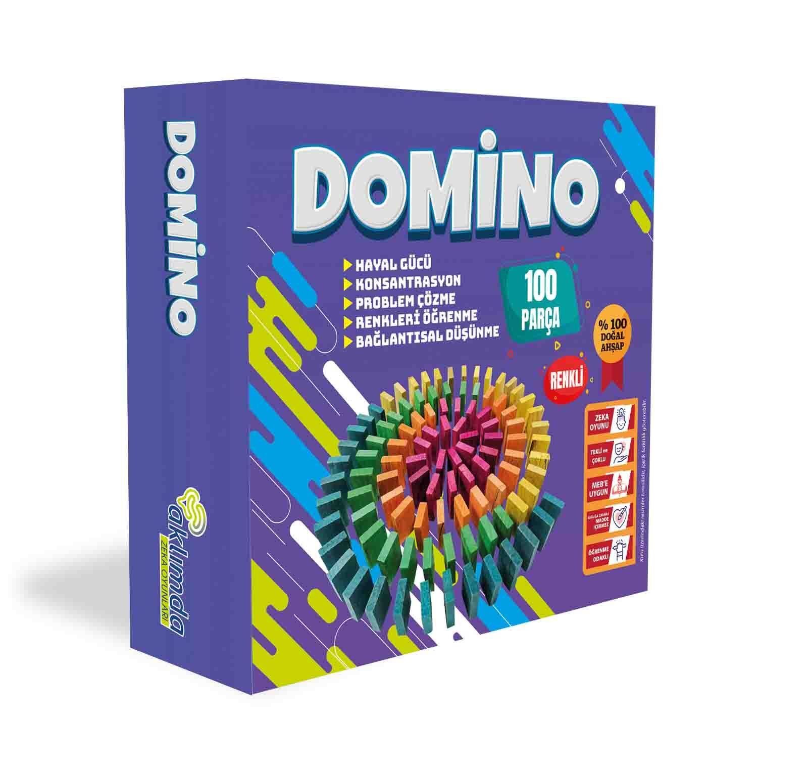 Aklımda Zeka Oyunları Domino 100 Parça