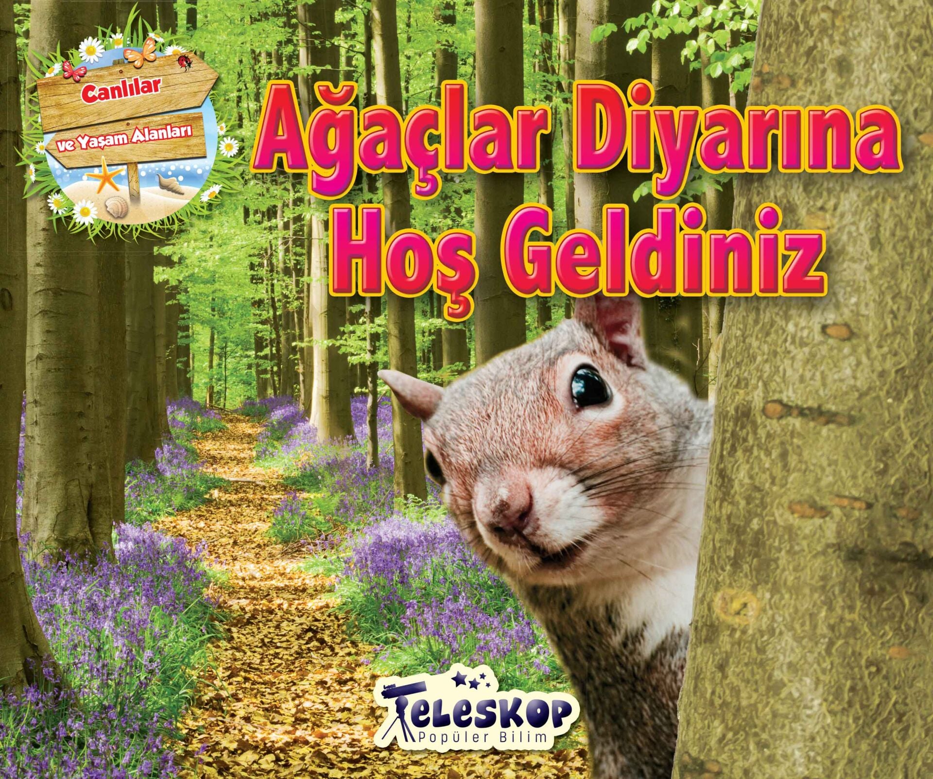 Teleskop Ağaçlar Diyarına Hoş Geldiniz