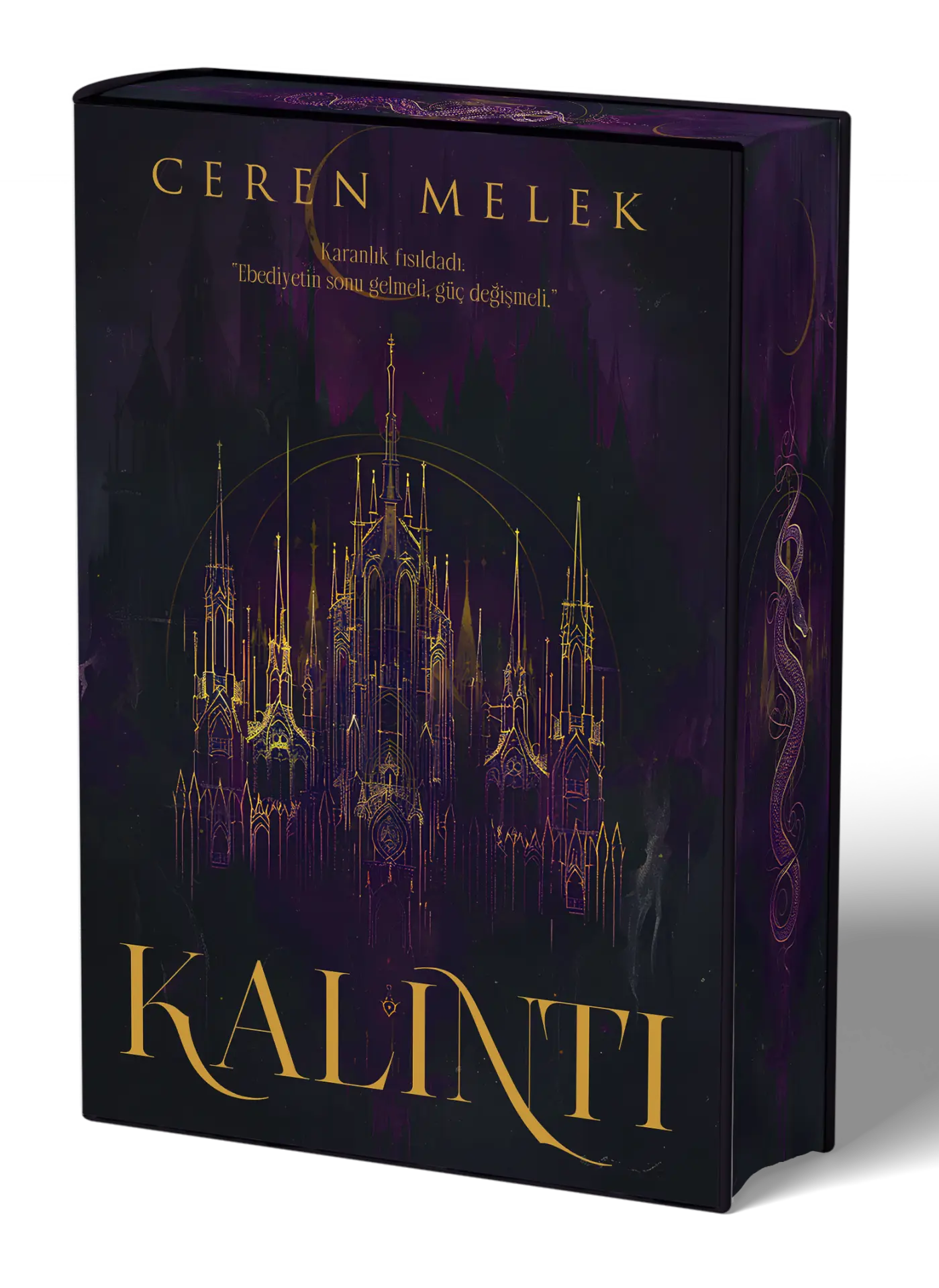 İndigo Kitap Kalıntı - Ciltli