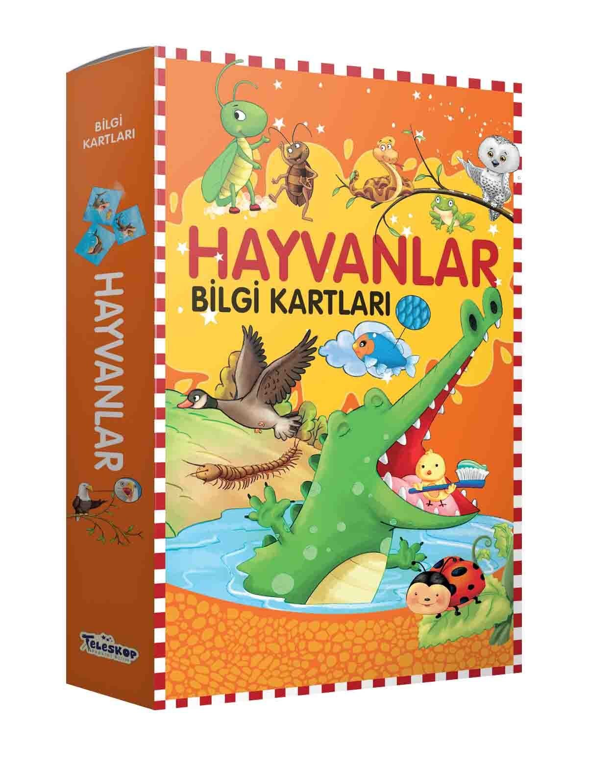 Teleskop Hayvanlar   Bilgi Kartları