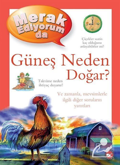 Merak Ediyorum Da - Güneş Neden Doğar?