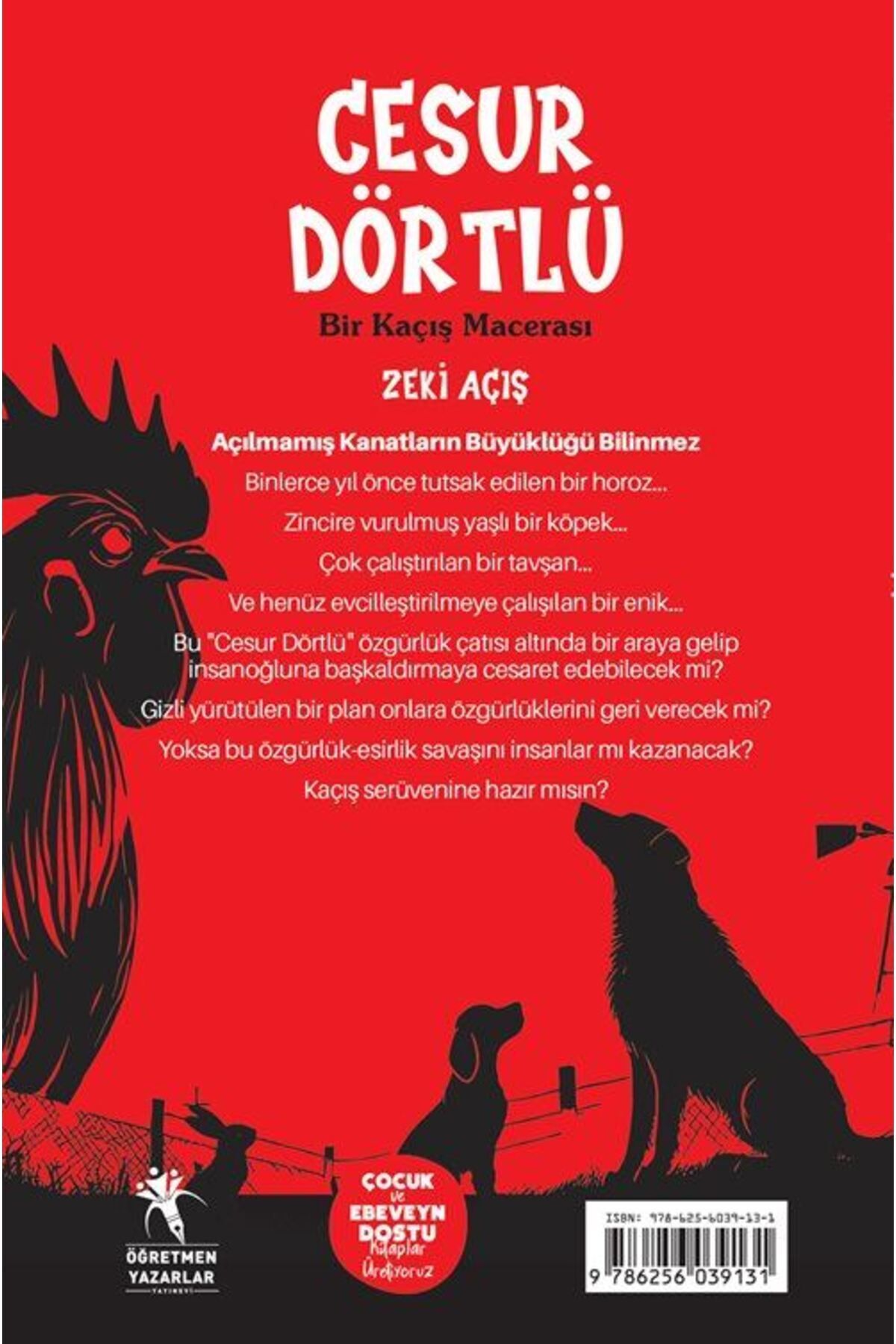 Yıldız Tozu / Gizemli Defter (8 YAŞ)