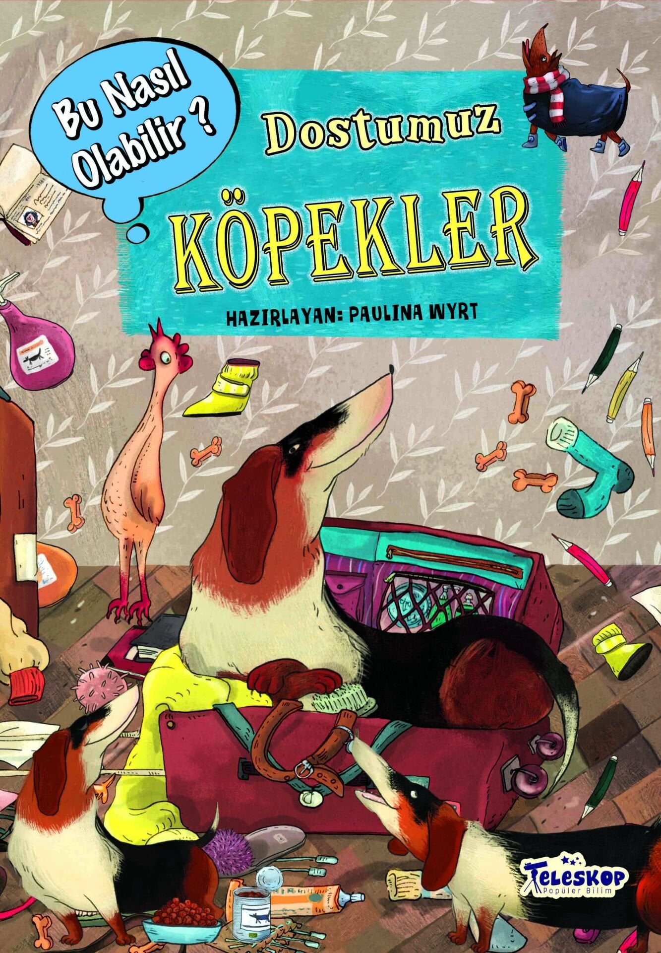 Teleskop Bu Nasıl Olabilir Dostumuz Köpekler