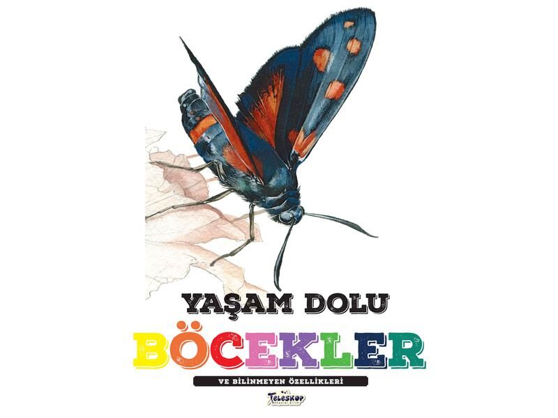 Teleskop Yaşam Dolu Böcekler