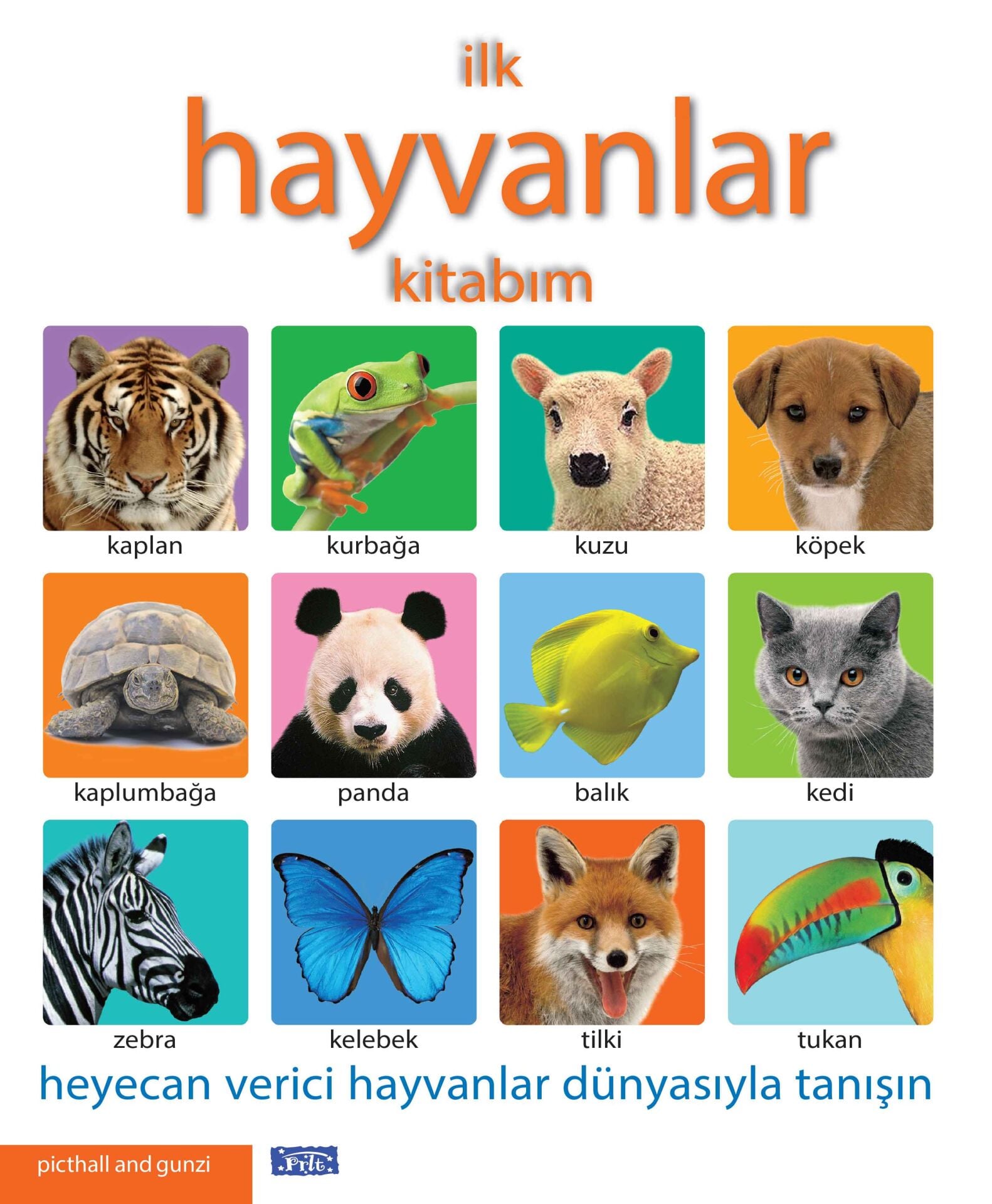 Parıltı Yayıncılık  İlk Hayvanlar Kitabım