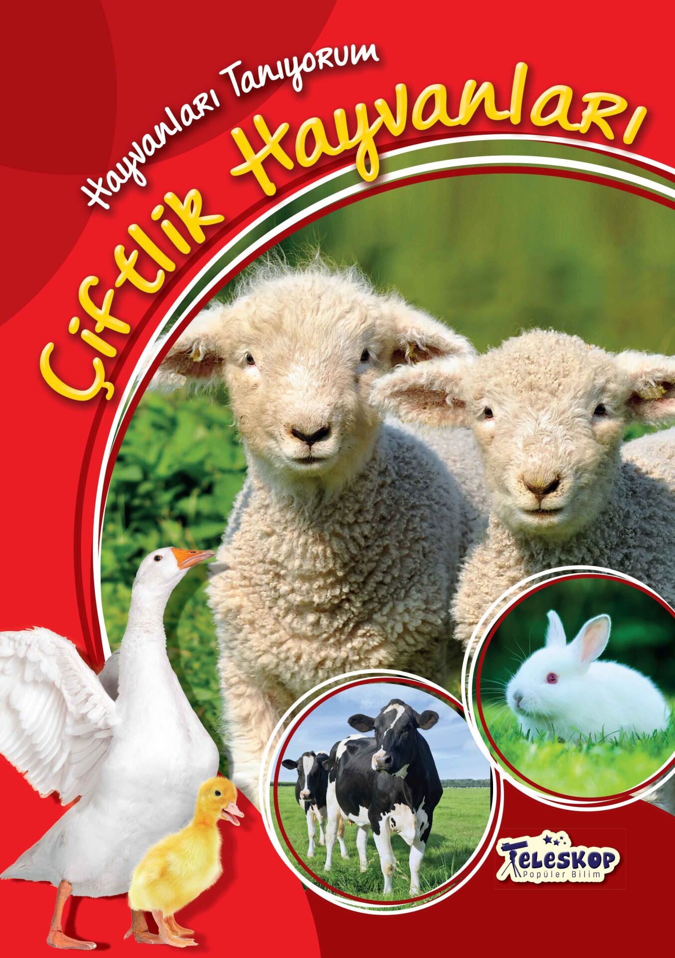 Teleskop Çiftlik Hayvanları Hayvanları Tanıyorum