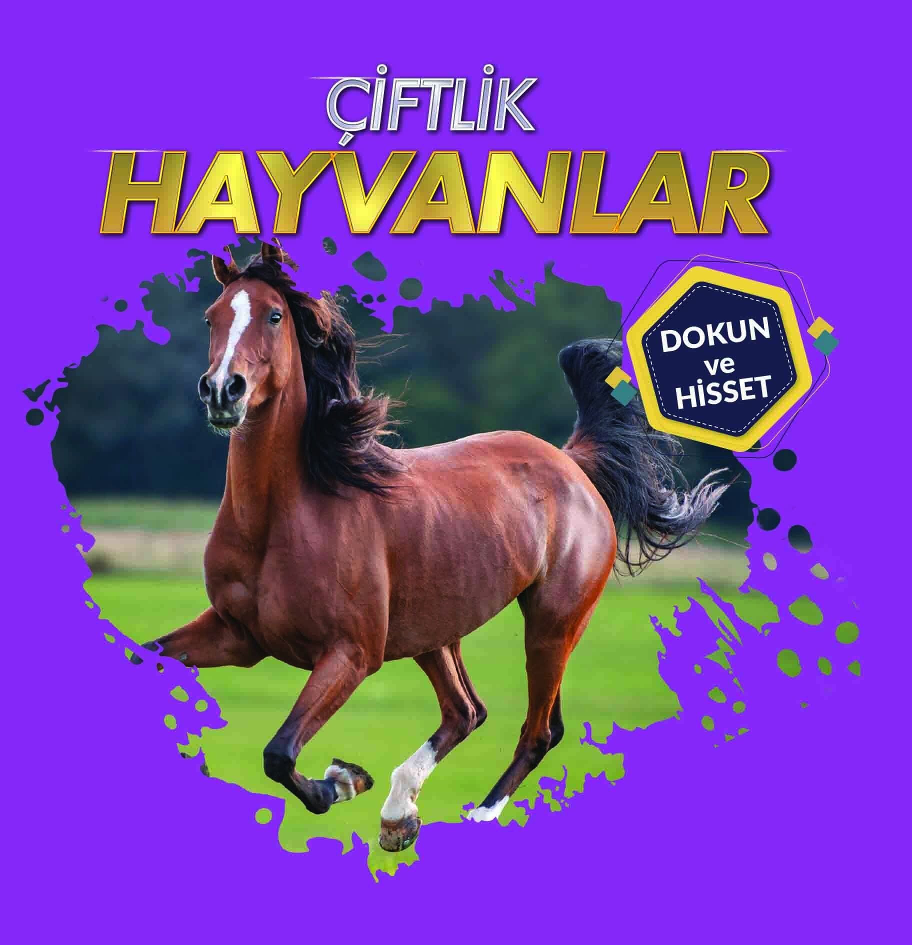 0-6 Yaş Yayınları Çiftlik Hayvanları Dokun Ve Hisset
