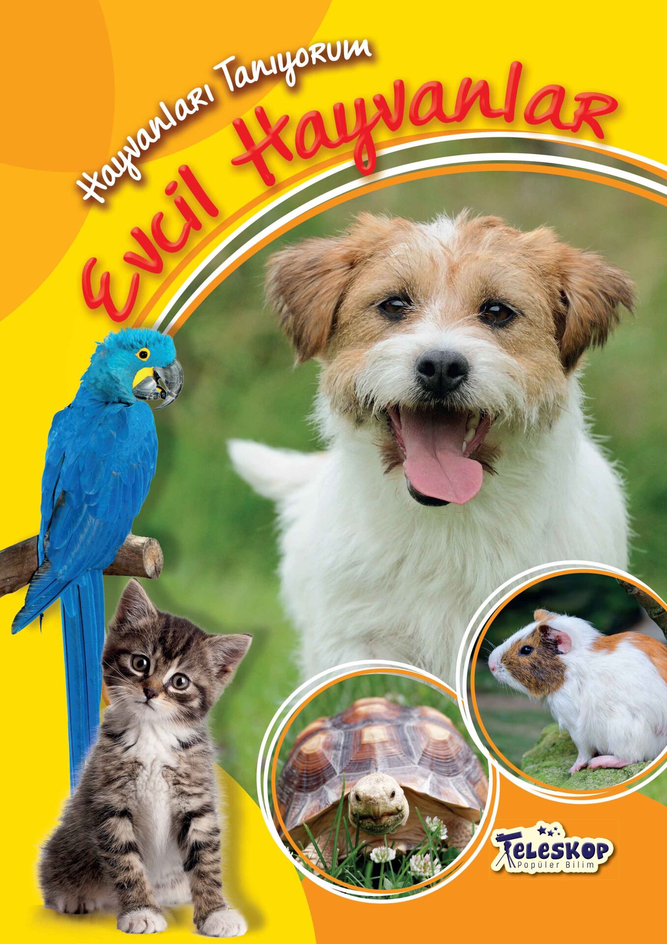 Teleskop Evcil Hayvanlar Hayvanları Tanıyorum
