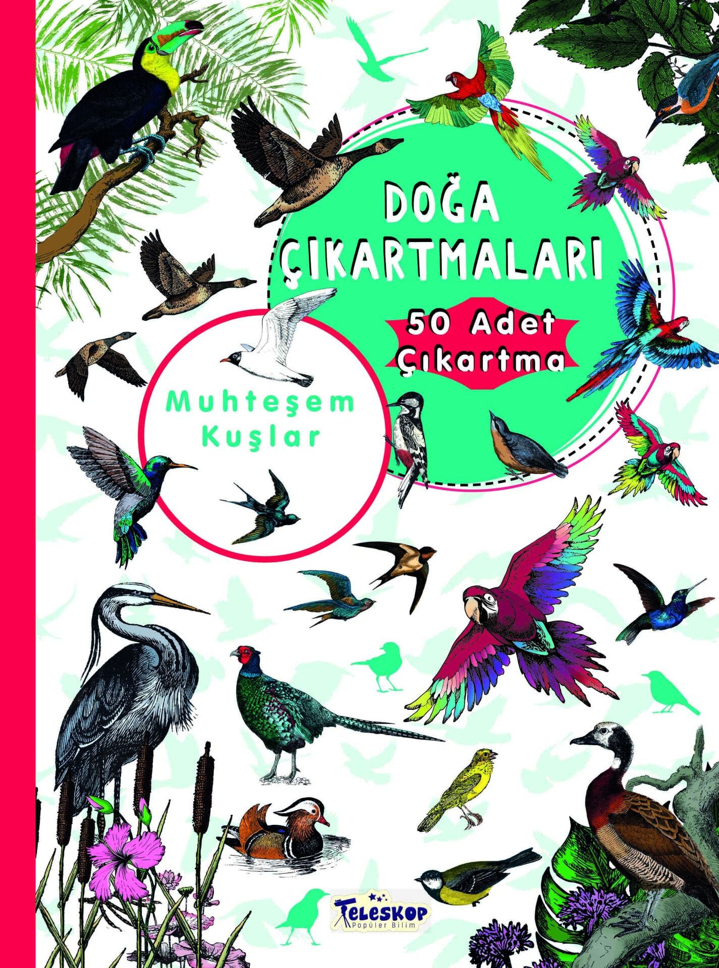 Teleskop Benim Doğa Çıkartmalarım Muhteşem Kuşlar
