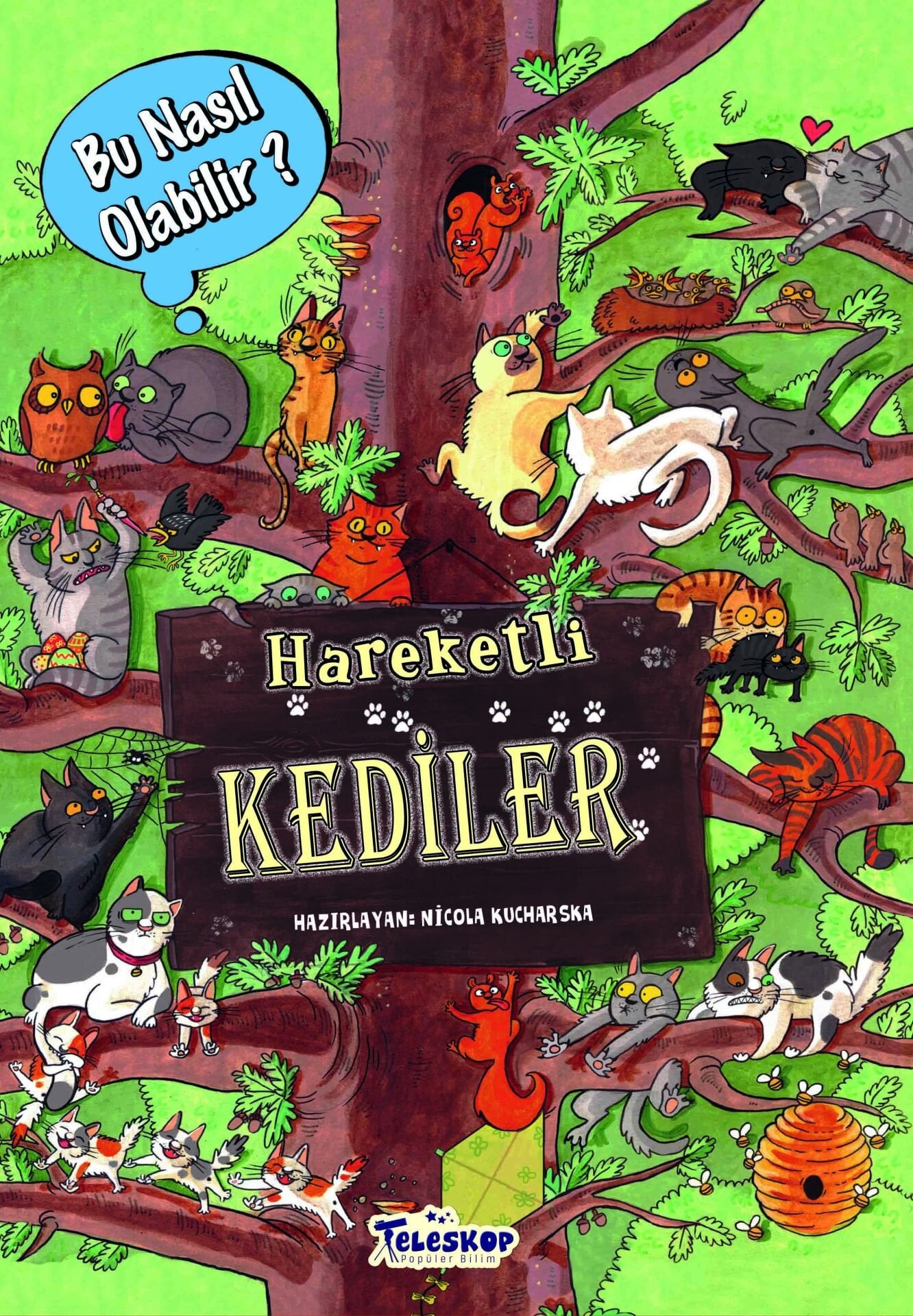 Teleskop Bu Nasıl Olabilir Hareketli Kediler