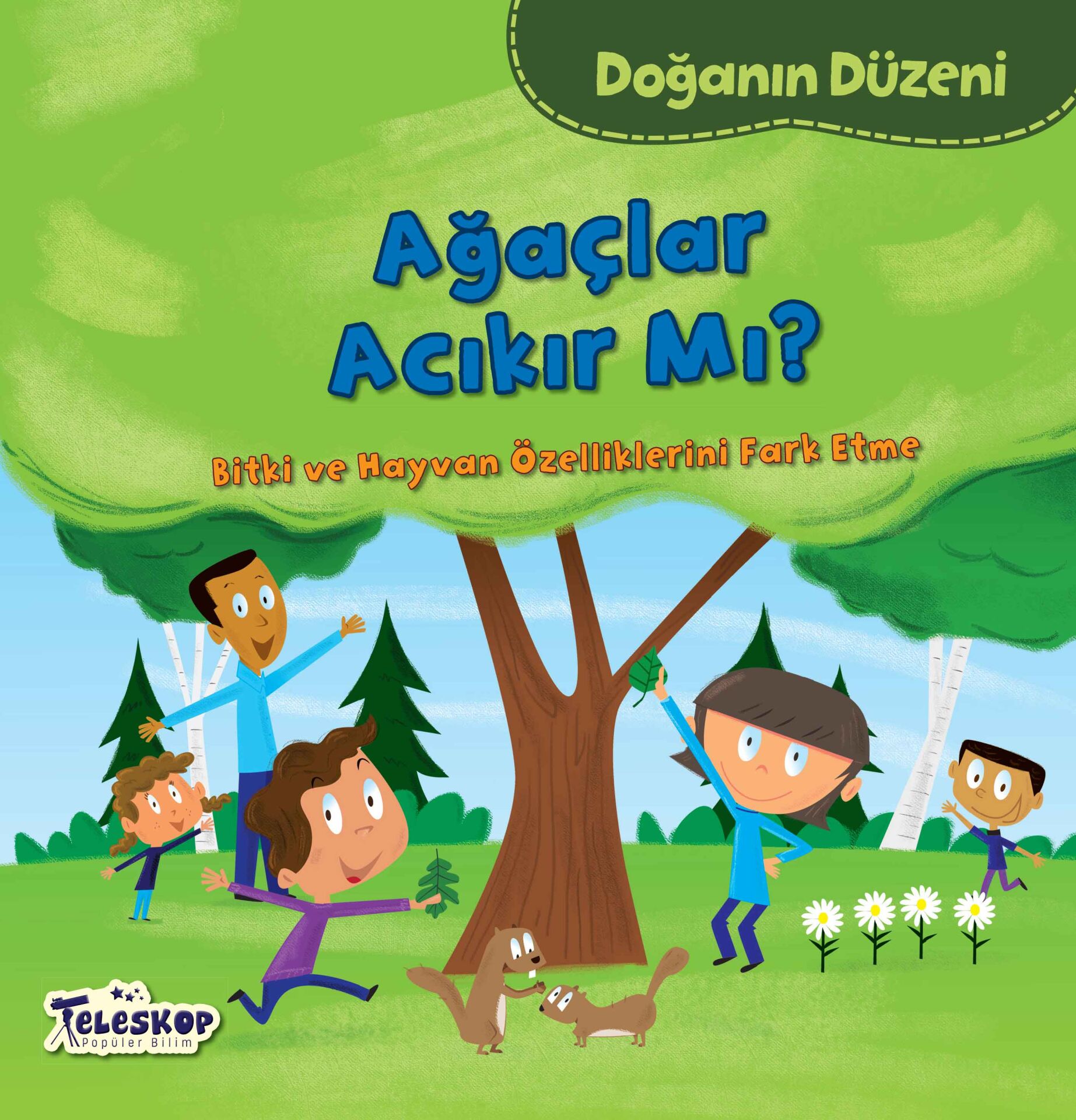 Teleskop Doğanın Düzeni Ağaçlar Acıkırmı