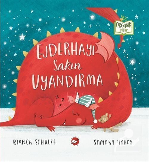 Ejderhayı Sakın Uyandırma