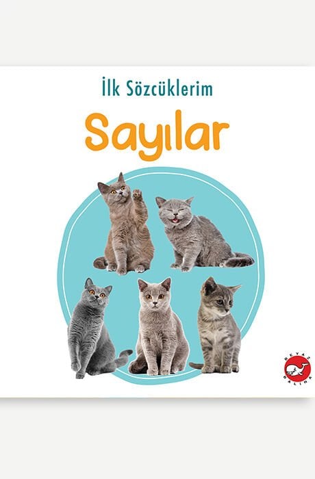 İlk sözcüklerim - Sayılar