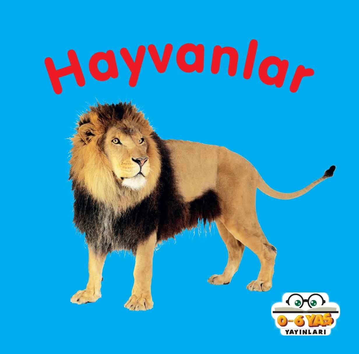 0-6 Yaş Yayınları Mini Karton Kitaplar Hayvanlar
