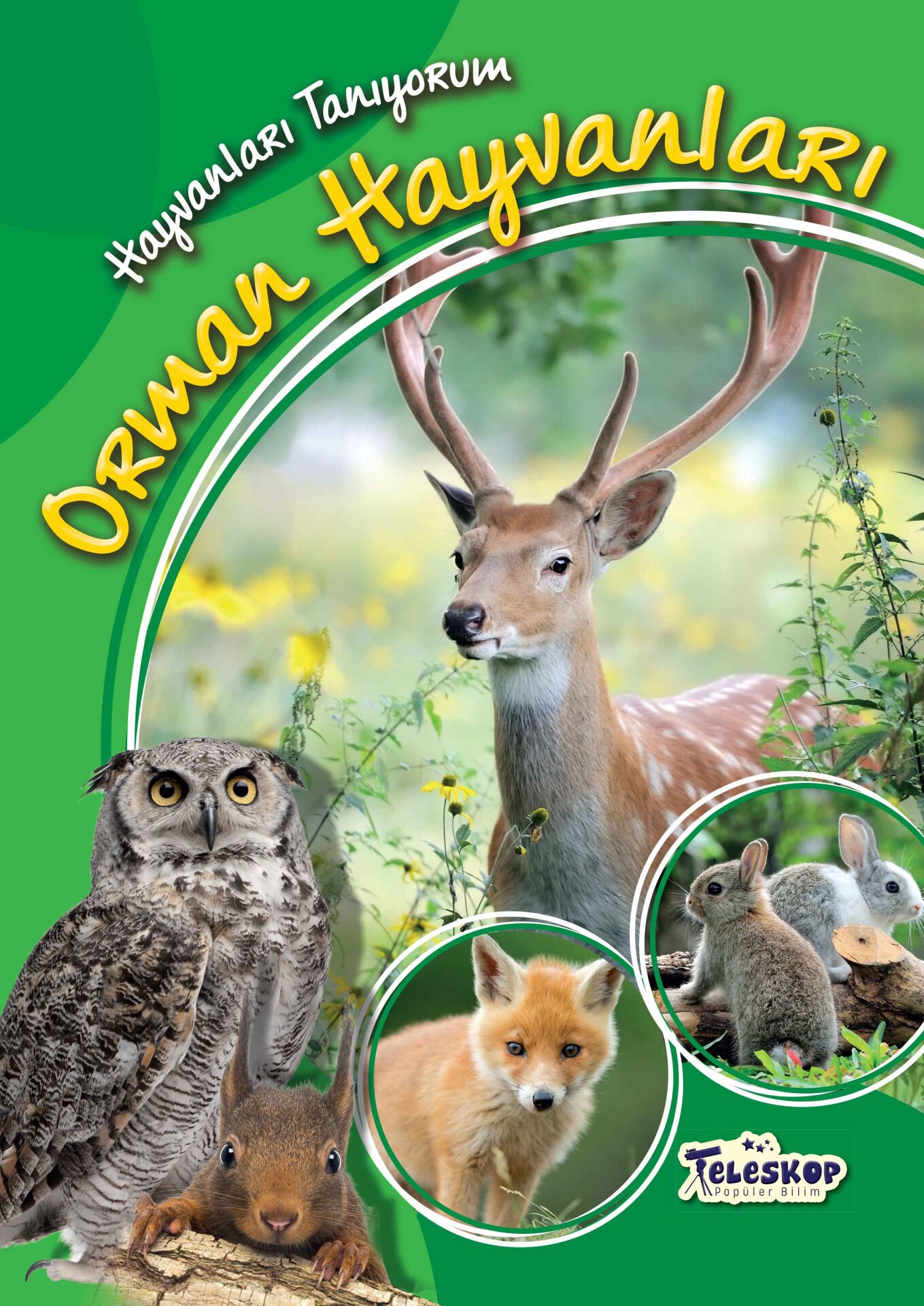 Teleskop Orman Hayvanları  Hayvanları Tanıyorum
