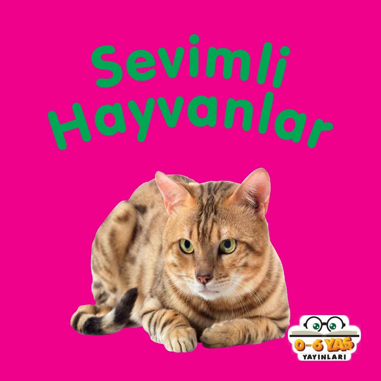 0-6 Yaş Yayınları Mini Karton Kitaplar  Sevimli Hayvanlar