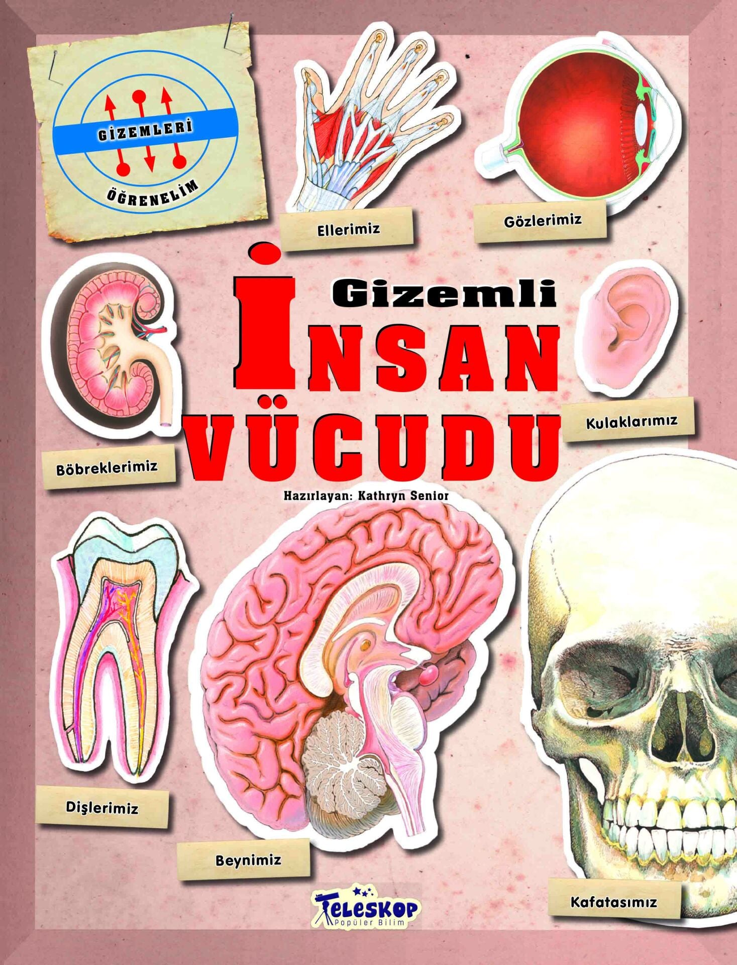Teleskop Gizemleri Öğrenelim Gizemli İnsan Vücudu